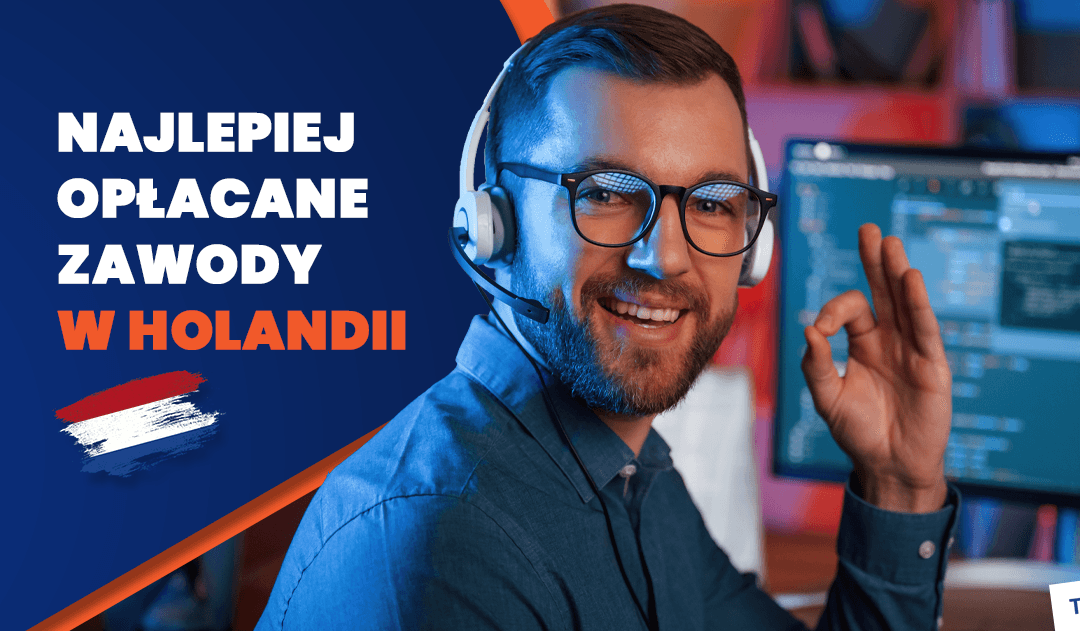 Praca w Holandii: zarobki, stawki i najlepsze zawody