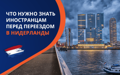 Хочу переехать в Нидерланды. Что нужно знать иностранцам перед переездом в Нидерланды в 2025 году