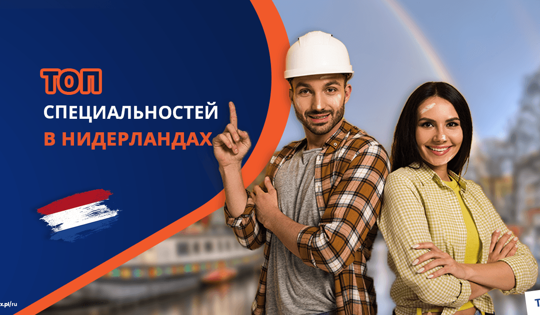Топ востребованных профессий в Нидерландах в 2025 году
