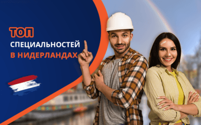 Топ востребованных профессий в Нидерландах в 2025 году