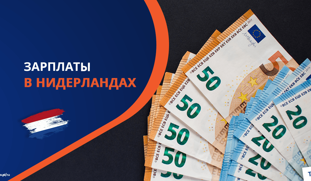 Зарплата в Нидерландах 2025: что нужно знать иностранцам