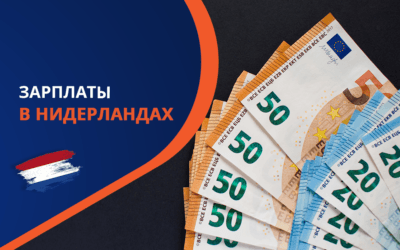 Зарплата в Нидерландах 2025: что нужно знать иностранцам