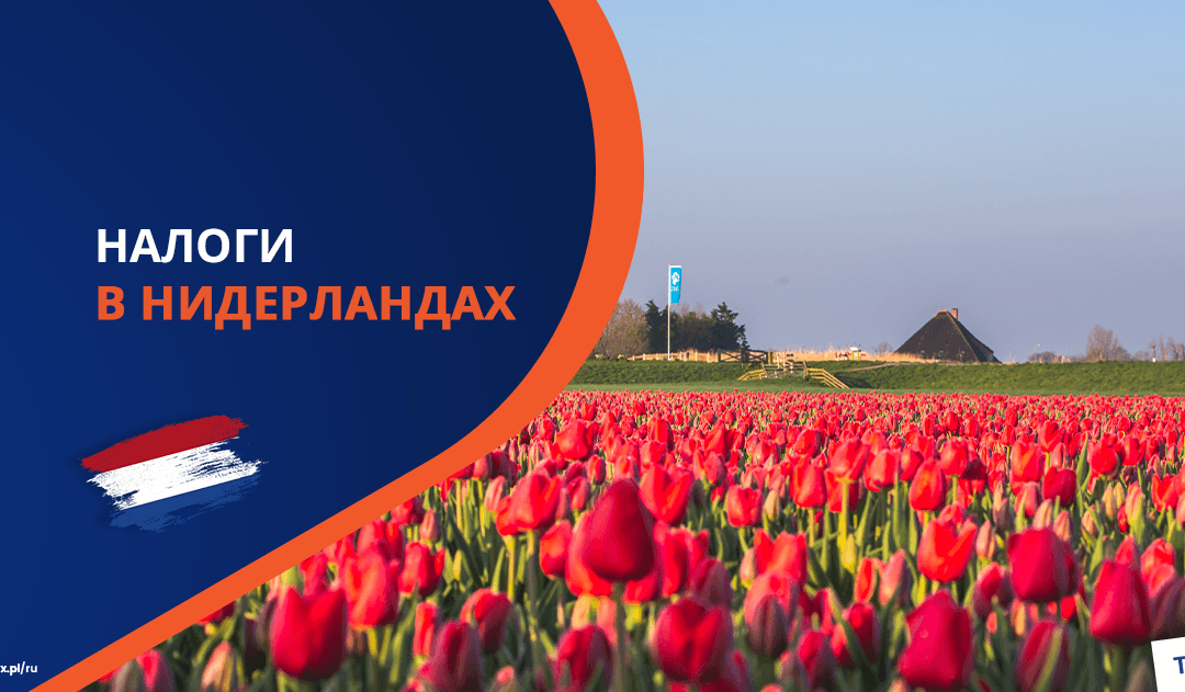 Налоги за работу в Нидерландах в 2025 году