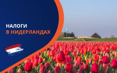 Налоги за работу в Нидерландах в 2025 году