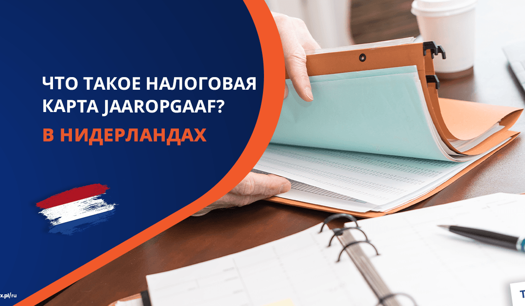 Возврат налога из Нидерландов. Что такое налоговая карта (Jaaropgaaf) и почему важна для налоговой декларации