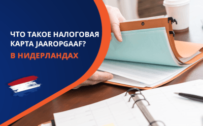 Возврат налога из Нидерландов. Что такое налоговая карта (Jaaropgaaf) и почему важна для налоговой декларации