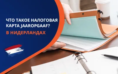 Возврат налога из Нидерландов. Что такое налоговая карта (Jaaropgaaf) и почему важна для налоговой декларации