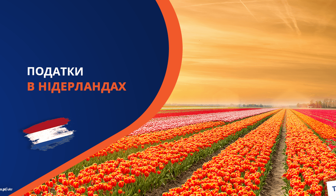 Податкова Система Нідерландів: Важливе для Іммігрантів