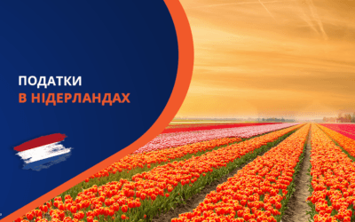 Податкова Система Нідерландів: Важливе для Іммігрантів