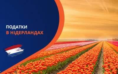 Податкова Система Нідерландів: Важливе для Іммігрантів