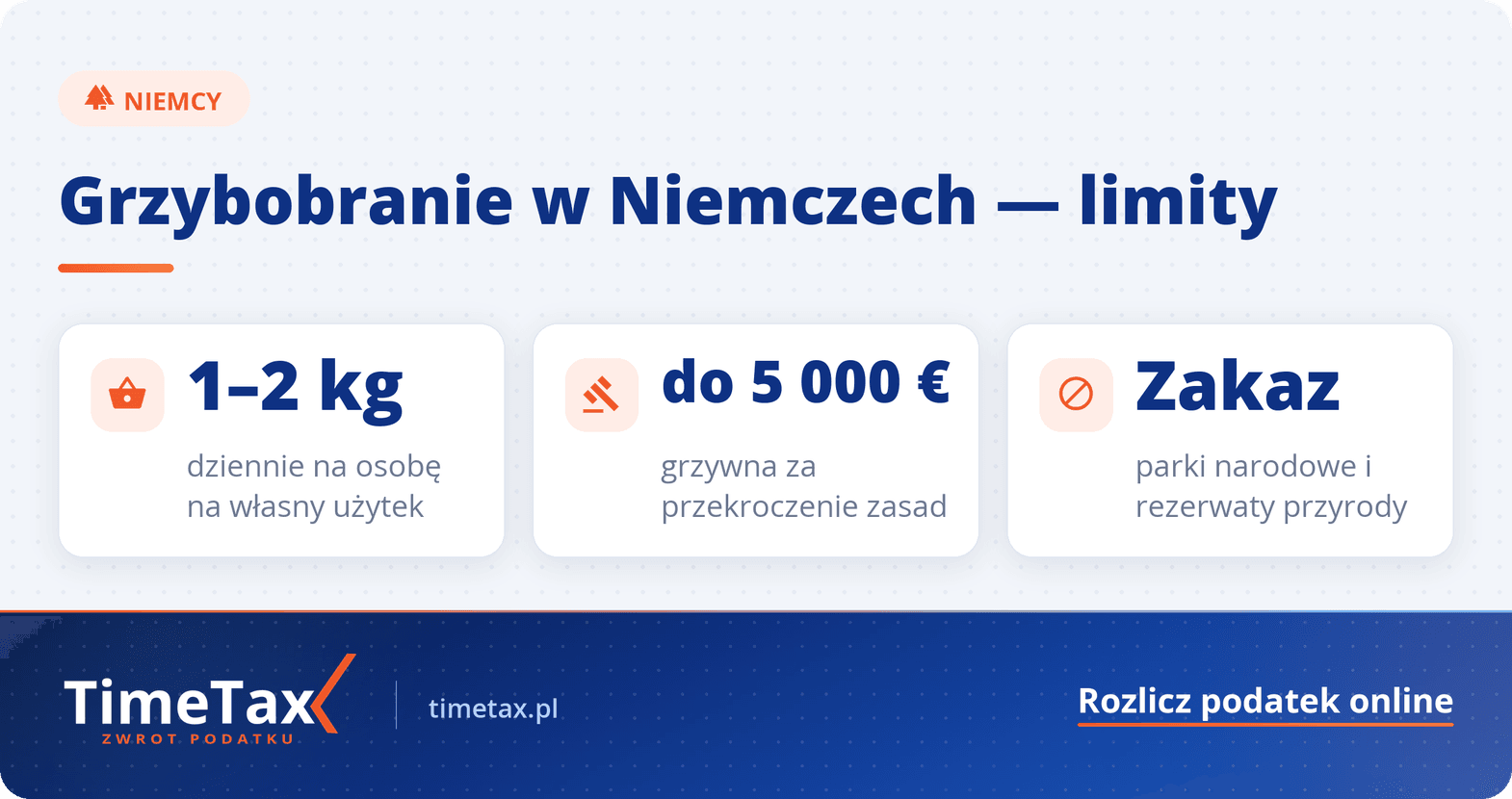 Grzybobranie za zachodnią granicą – limit grzybów w Niemczech i obowiązujące przepisy — najważniejsze liczby